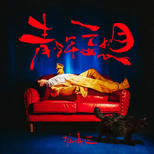 Dui Tianquyuedui 堆填区乐队 - 《青少年妄想》 [CD]
