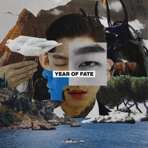 Silly Brat 傻子與白痴乐队 - 《year of fate》 [LP]