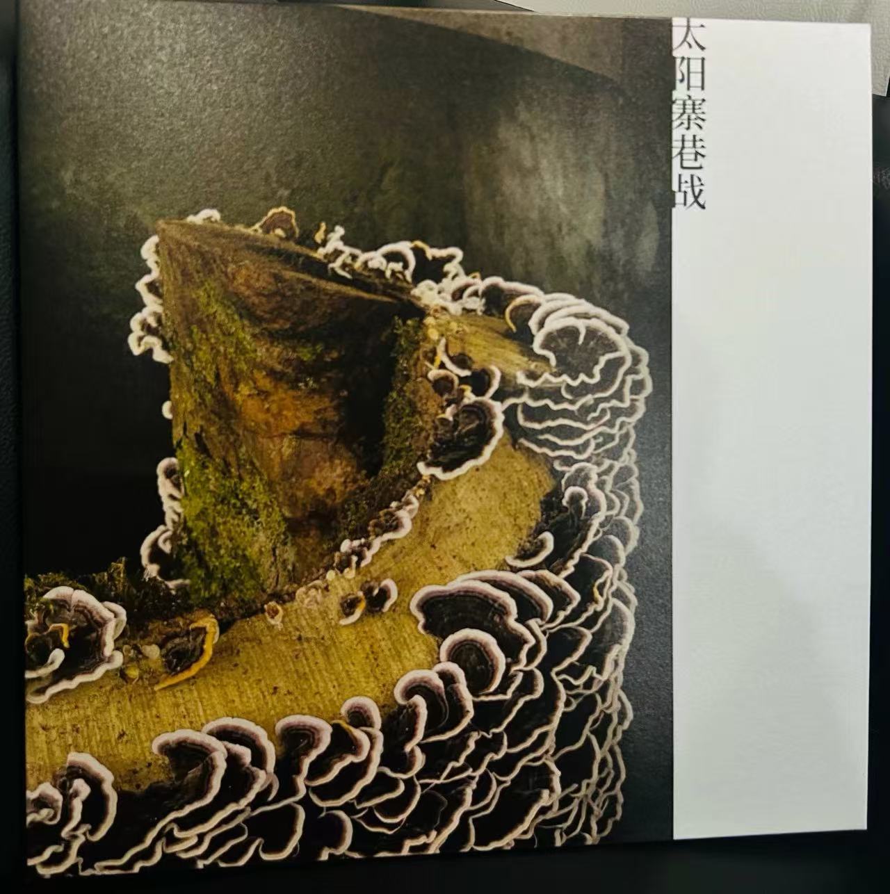 Ye Peng 也朋 - 《太阳寨巷战》 [CD]