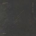 Tian Hongjie 田鸿杰 - 《因为有光，有点晃荡》 [CD]